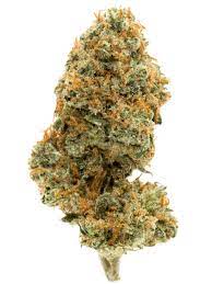 Tropic Super Jet - (AAAA) - Sativa