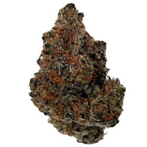 Black Tuna - (AAAA) - Indica